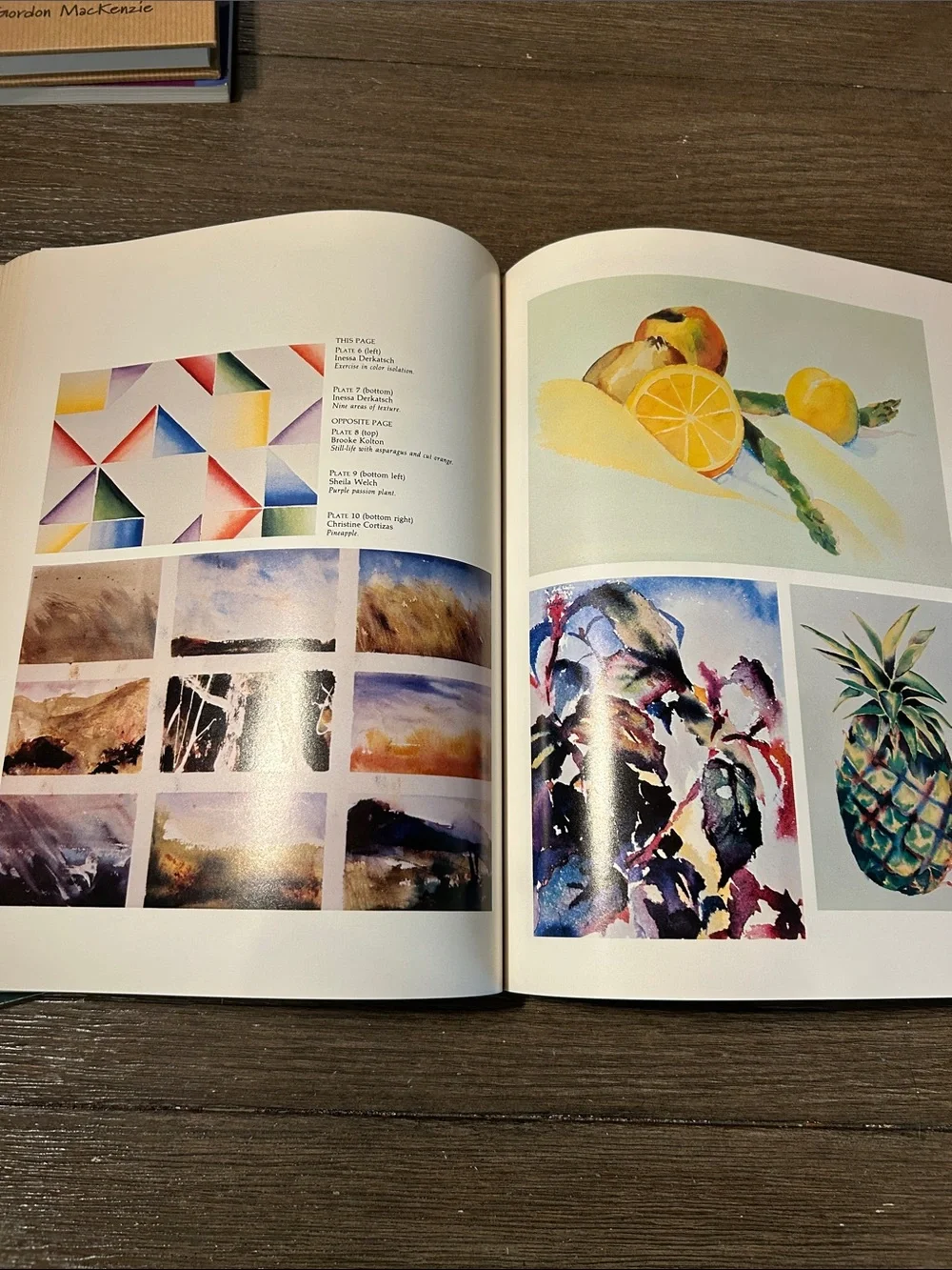 Watercolor instruction book group painting methods 4 books very good condition